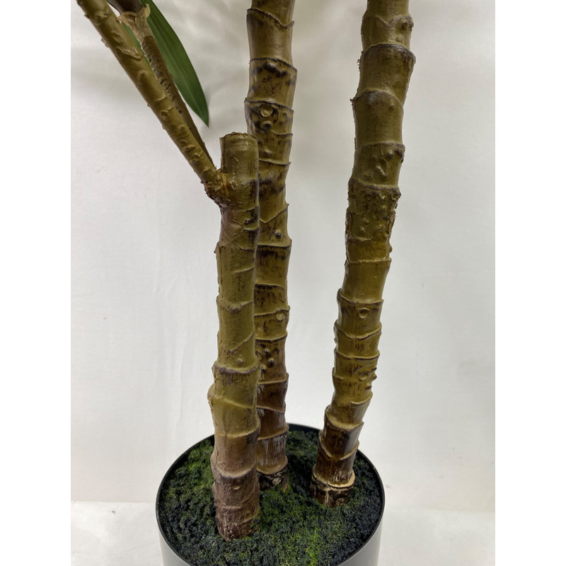 Arbre à feuilles persistantes artificiel en pot 48 "