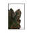 White Framed Canvas is unavailable