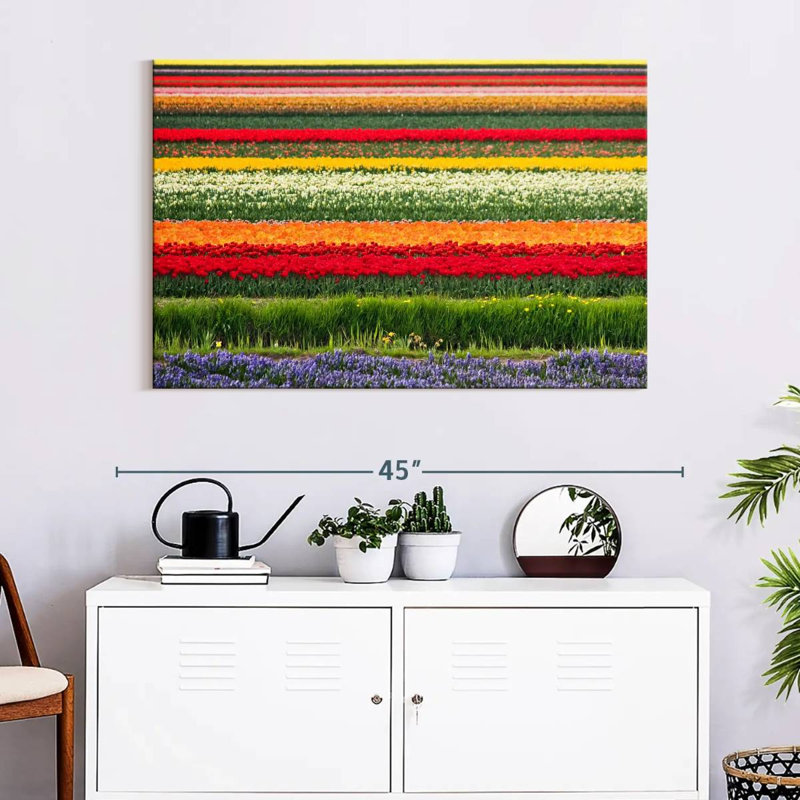 Rorry Bollenstreek Tulips, 26" H x 39" W