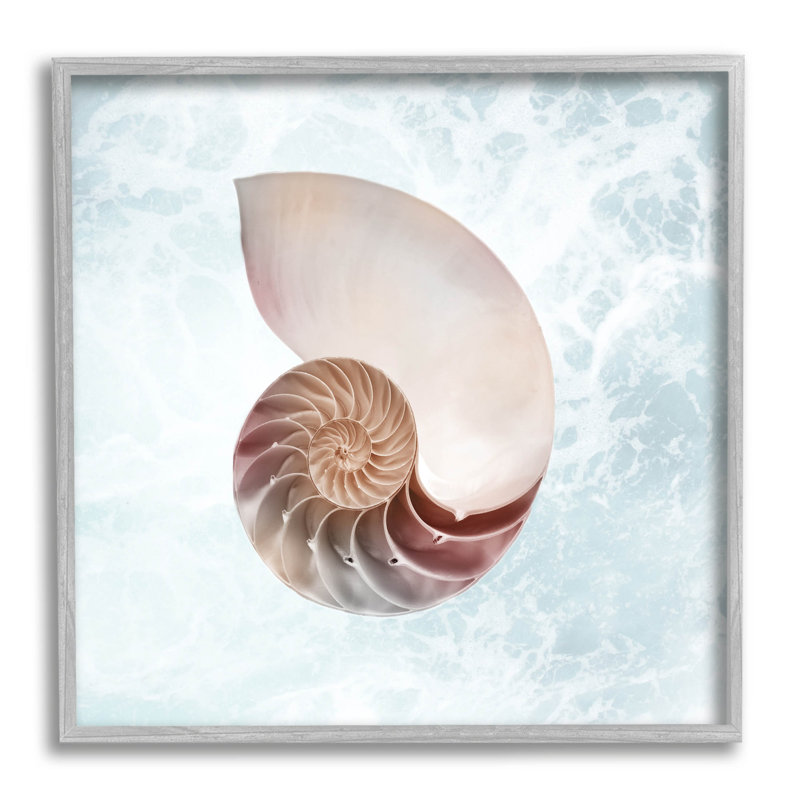 Aquarelle, Nautilus, spirale, coquillage, estampe numérique par Marcus Prime, H 24 po x l 24 po x P 1,5 po