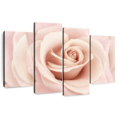 Harnek Peach Pink Rose
