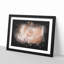 Light Pink Rose Paint Splash - Picture Frame Graphic Art-56865508-56865509