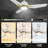 Modelle 44'' Ceiling Fan with LED Lights