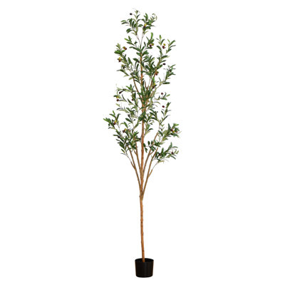 7ft. Artificial Olive Tree with Natural Trunk