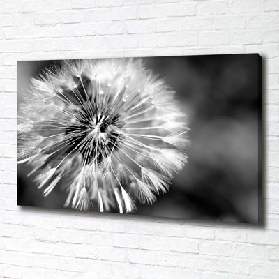 Dandelions - No Frame Print on Canvas