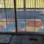 Photos des clients 1 de 1
