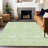Premium Machine Washable Prisco Aloe Rug-50240220