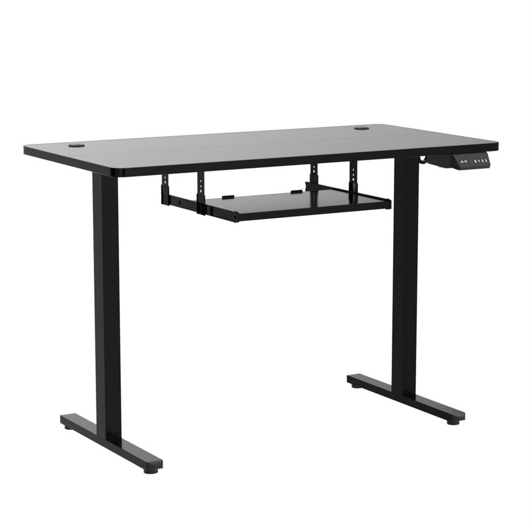 Bladric 100Cm Height Adjustable Rectangle Computer Desk