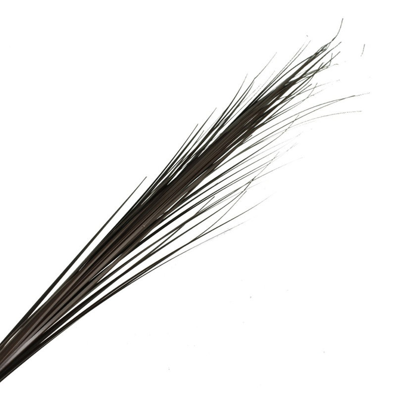 114cm Onion Grass Grass, Dark Brown