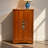 Unique design storage shoe cabinet