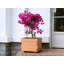 40"w Planter Box-1700188480