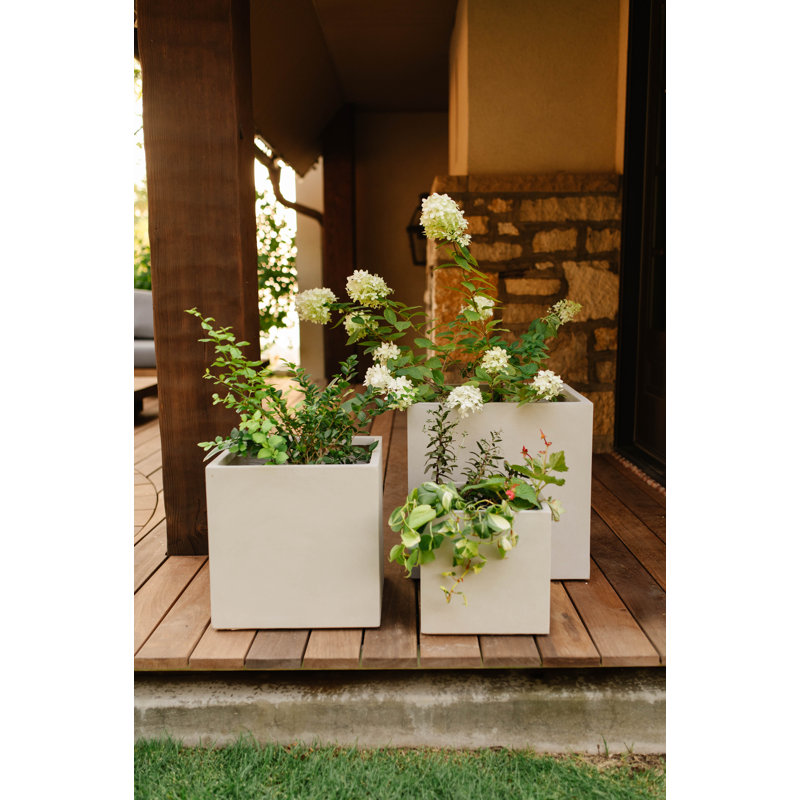 Milard Planter Pot, 12.01" H x 11.81" W x 11.81" D, Black