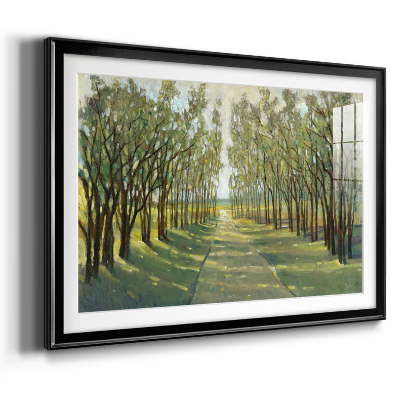 Forest Path encadré sur papier, Noir, H 15 po x l 21 po x P 1,5 po