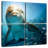 Brampt Curious Dolphin-109037692