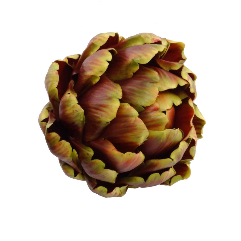 Tige de plante grasse, 1, Bourgogne
