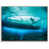 Timber Floater Framed selected