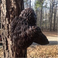 Design Toscano 15 in. H Bigfoot the Bashful Yeti Tree Sculpture