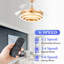 Orren Ellis 42" DIY Shade Gold Modern Ceiling Fan with Lights and Remote, Quiet and Reversible DC Motor Ceiling Fan-1348109806