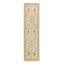 Wool Oriental Area Rug in Ivory