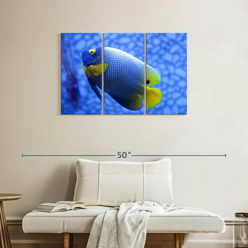 Angelfish bleu corail Brampt, H 24 po x l 38 po