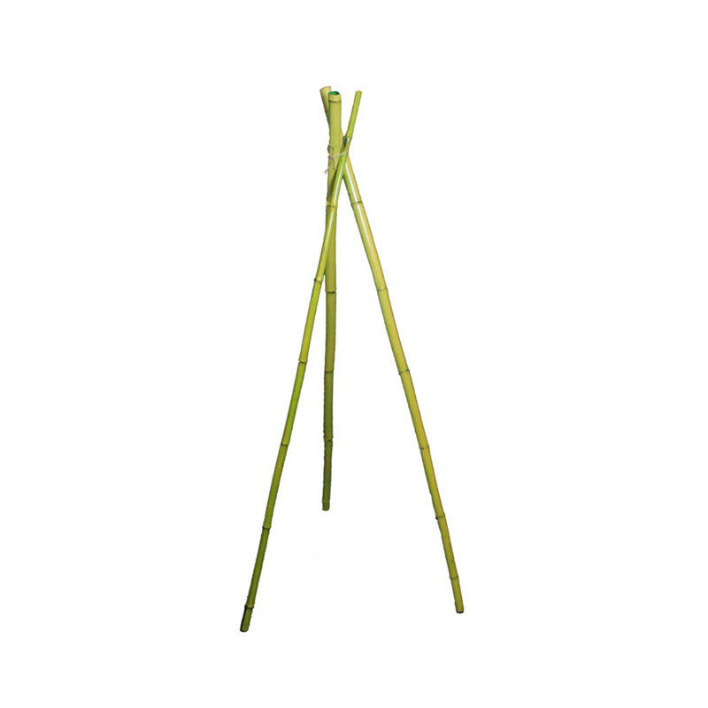 3pc Set Carignan Bamboo Pole, Green
