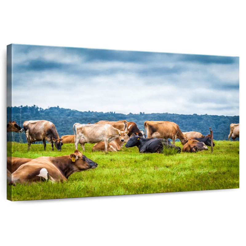 Brampt Cow Gathering, 32" H x 48" W