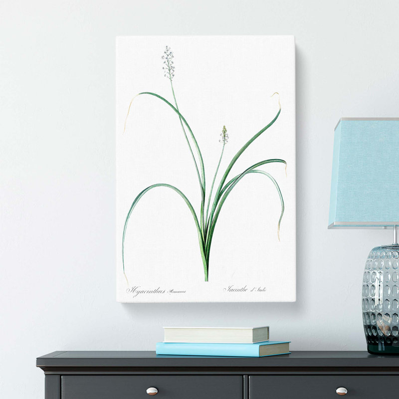Roman Hyacinth Flowers by Pierre-Joseph Redoute - Wrapped Canvas Print, 76cm H x 50cm W x 3cm D