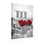 Plantes et fleurs, chutes de neige, roses, panier, Marina Bay-2126816911