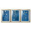 FLORAL Series Lxx - Impression encadrée sur mesure de qualité supérieure - 3 pièces-99859765-99859768