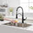 VIBRANTBATH Pull Down Kitchen Faucet-98155088