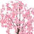 6' Weeping Cherry Tree-339991003