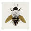 Nature Constructed Bee Canvas, design by Sasha