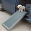Rampe pour animal 39 po Lapoint