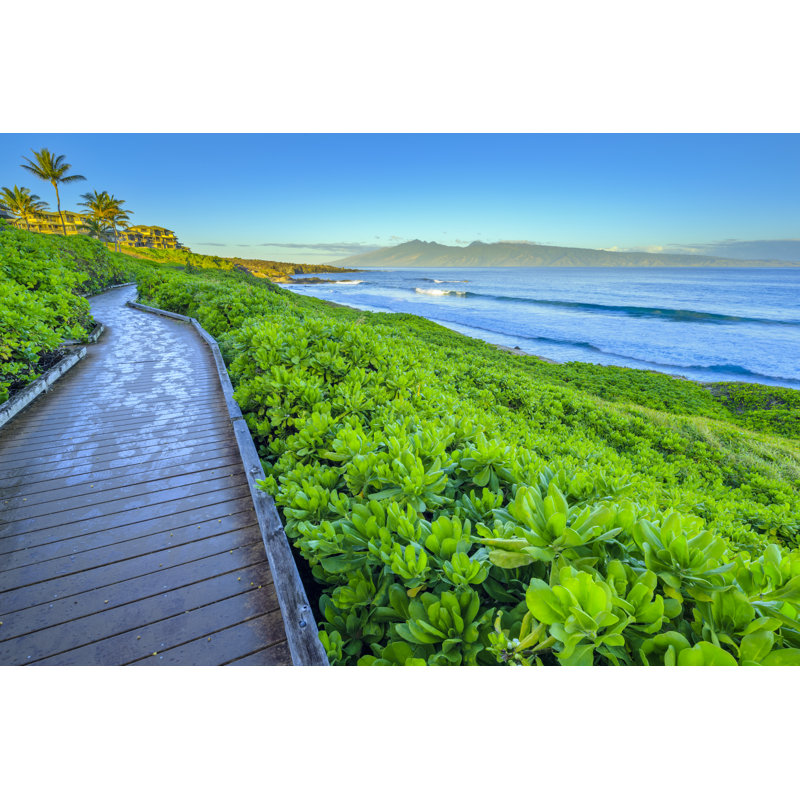 Maui à Hawaï par Don White, H 32 po x l 48 po
