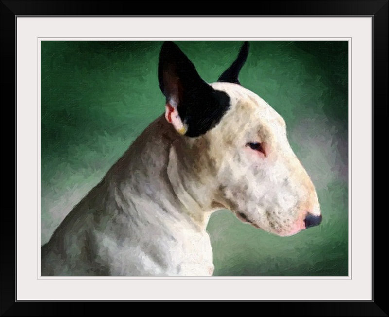 «Bull Terrier» par Francy, impression, H 27 po x l 36 po x P 1,5 po, Toile