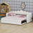 Contemporary Padded Daybed with Illumination and Multi-Position Trundle System-957325696