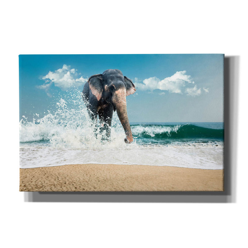 «Éléphant» par PhotoINC Studio, H 12 po x l 18 po
