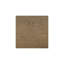 Canopy Bed Queen Brown See Below