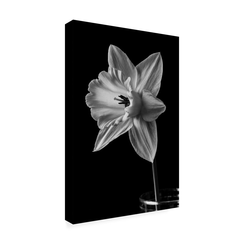 Narcisse, mai 2015, sur toile, L 22 po x H 32 po