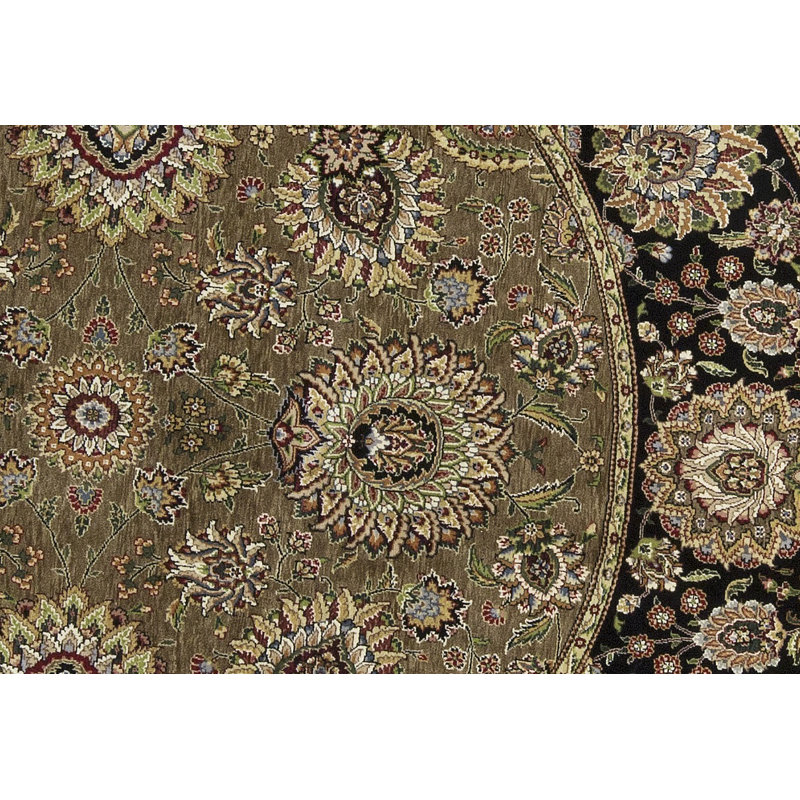Manchuria Wool Oriental Area Rug in Brown/Black