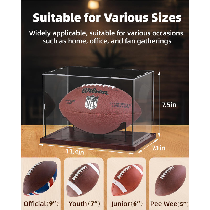 ZESTIME 18cm W 29cm D Acrylic Ball / Puck Case