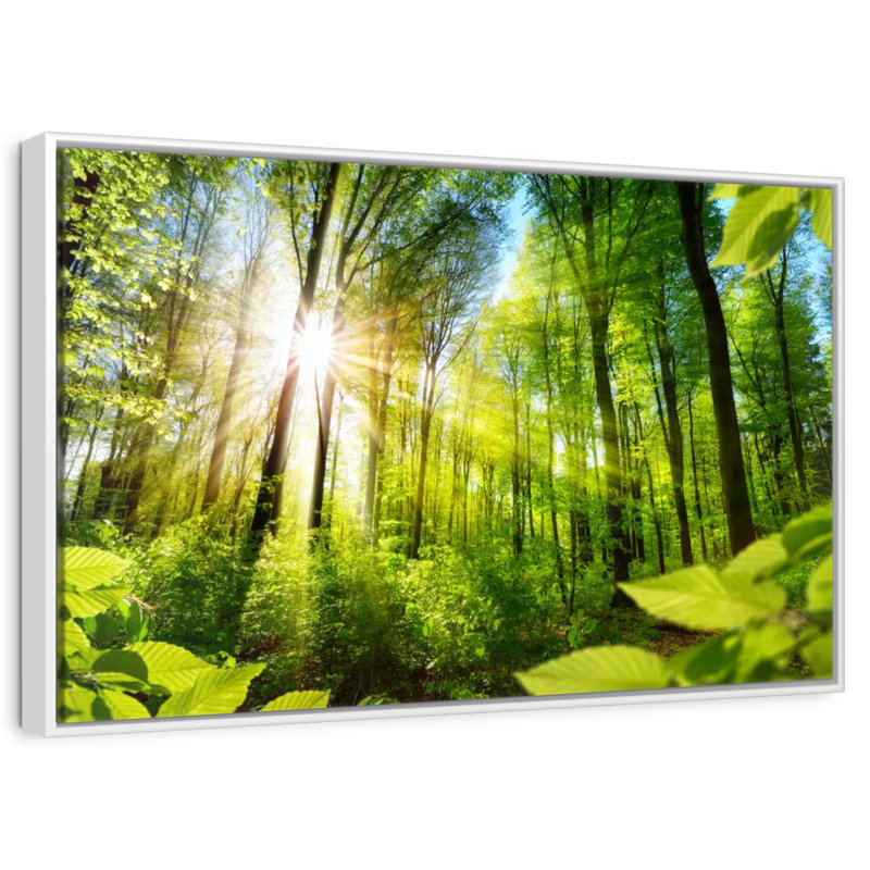 Forêt ensoleillée, Cadre flottant blanc, 40 po x 27 po