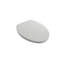 Milano Elongated Toilet Seat-829495270