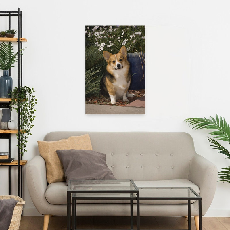 Pembroke Welsh Corgi Contemporary Dog Animal Portrait Wall Art, H 24 po x l 16 po