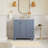 Ferdinand 36'' Single Bathroom Vanity with Top-1558791403-1558791404