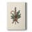 Pearled Serenade-Premium Gallery Wrapped Canvas-1092847707