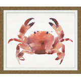 Coral Crab Impression 2 Print