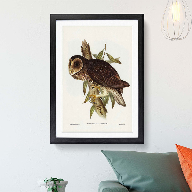 Sooty Owl by Elizabeth Gould - Picture Frame Painting Print, 36cm H x 27cm W x 2cm D, Black Framed