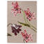 Floral Area Rug in Burgundy/Green/Brown-105955091