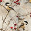 Papier peint oiseaux avec baies rouges rétro